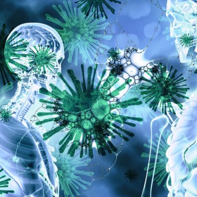Immunologie II – Wie Zellen und Moleküle über unsere Gesundheit wachen