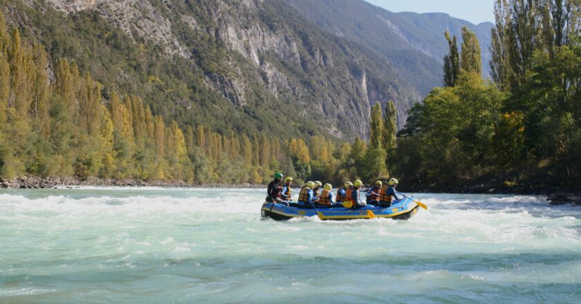 INNsieme: Drei Länder, ein Fluss, ein Ziel – Die Bewahrung der Artenvielfalt am Inn